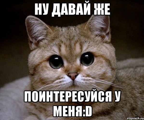 ну давай же поинтересуйся у меня:d, Мем Пидрила Ебаная