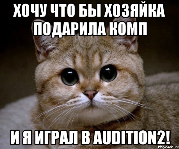 хочу что бы хозяйка подарила комп и я играл в audition2!, Мем Пидрила Ебаная