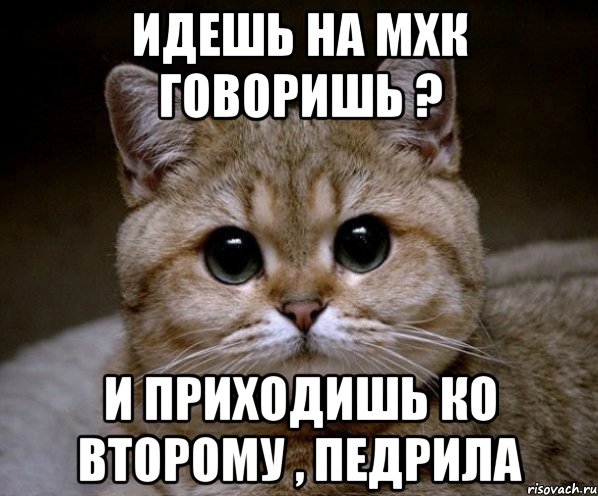 идешь на мхк говоришь ? и приходишь ко второму , педрила, Мем Пидрила Ебаная