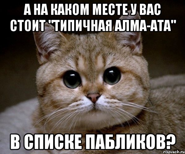 а на каком месте у вас стоит "типичная алма-ата" в списке пабликов?, Мем Пидрила Ебаная