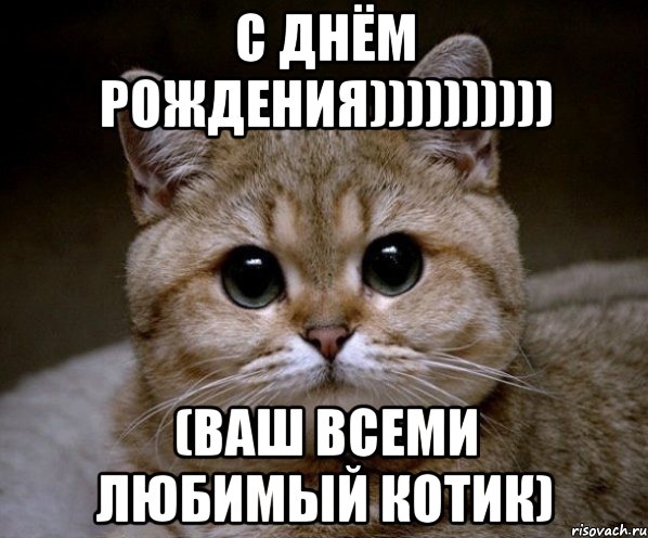с днём рождения)))))))))) (ваш всеми любимый котик), Мем Пидрила Ебаная