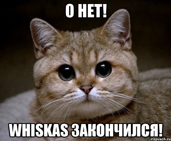 о нет! whiskas закончился!, Мем Пидрила Ебаная