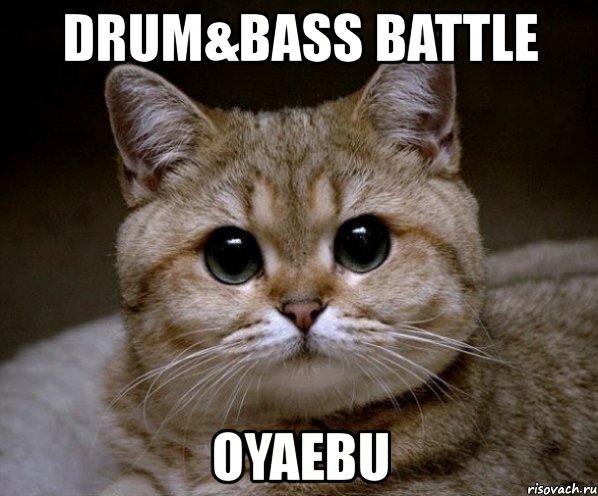 drum&bass battle oyaebu, Мем Пидрила Ебаная