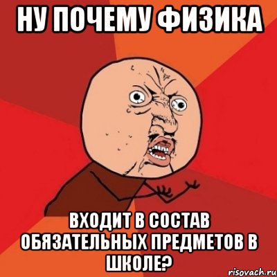 ну почему физика входит в состав обязательных предметов в школе?, Мем Почему