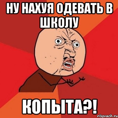 ну нахуя одевать в школу копыта?!, Мем Почему