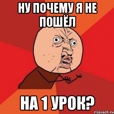 ну почему я не пошёл на 1 урок?, Мем Почему