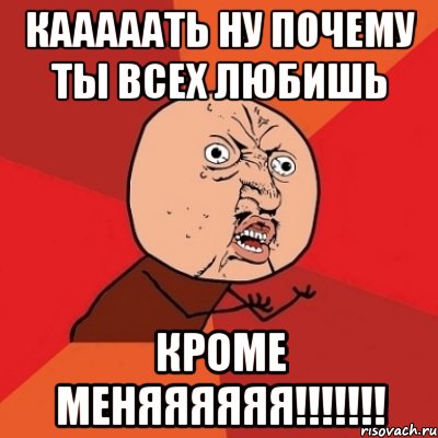 кааааать ну почему ты всех любишь кроме меняяяяяя!!!, Мем Почему