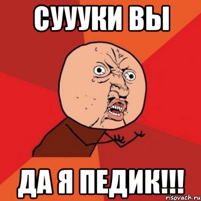 суууки вы да я педик!!!, Мем Почему