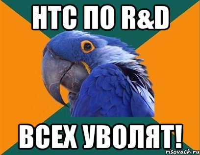 нтс по r&d всех уволят!, Мем Попугай параноик