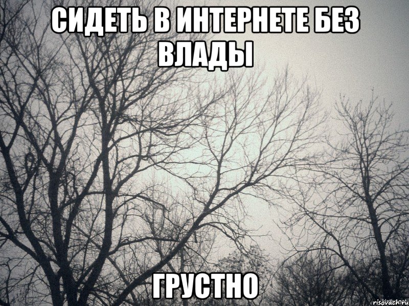 сидеть в интернете без влады грустно, Мем  будет весело говорили они