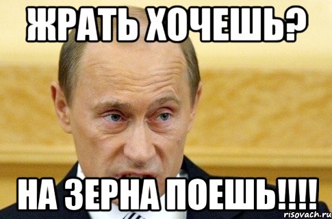 жрать хочешь? на зерна поешь!!!, Мем путин