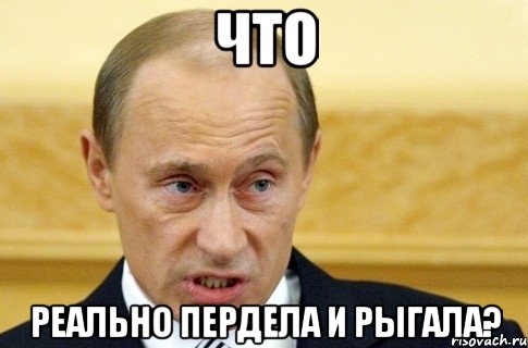 что реально пердела и рыгала?, Мем путин