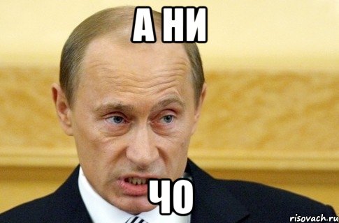 а ни чо, Мем путин