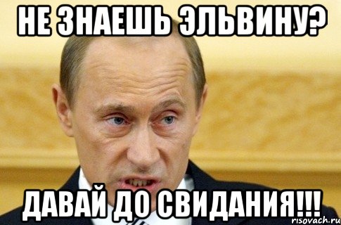 не знаешь эльвину? давай до свидания!!!, Мем путин