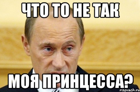 что то не так моя принцесса?, Мем путин