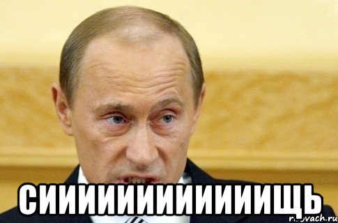  сиииииииииииищь, Мем путин