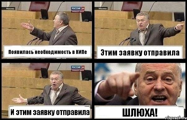 Появилась необходимость в КИПе Этим заявку отправила И этим заявку отправила ШЛЮХА!