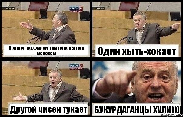 Пришел на хомяки, там пацаны под молоком Один хыть-хокает Другой чисен тукает БУКУРДАГАНЦЫ ХУЛИ))), Комикс с Жириновским