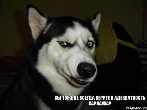 Вы тоже не всегда верите в адекватность Карнауха?, Комикс  Собака подозревака