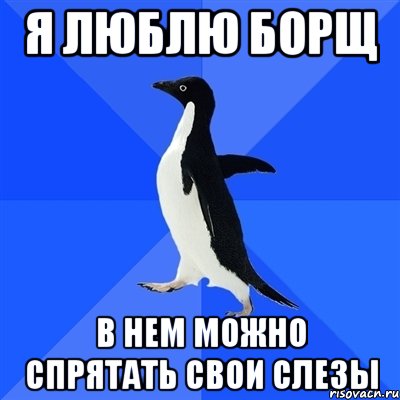 я люблю борщ в нем можно спрятать свои слезы, Мем  Социально-неуклюжий пингвин