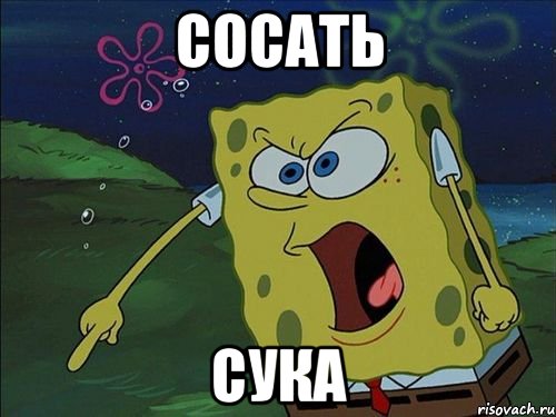 сосать сука