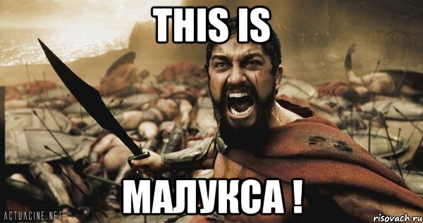 this is малукса !, Мем Это Спарта