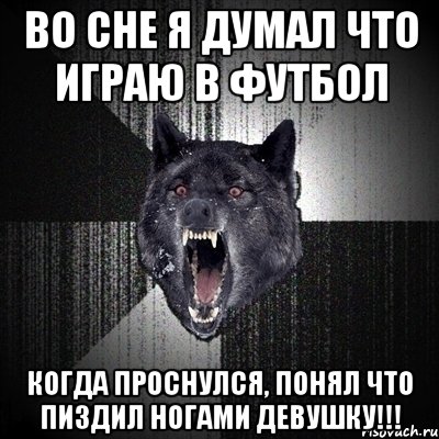 во сне я думал что играю в футбол когда проснулся, понял что пиздил ногами девушку!!!, Мем Сумасшедший волк