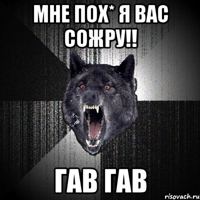 мне пох* я вас сожру!! гав гав, Мем Сумасшедший волк