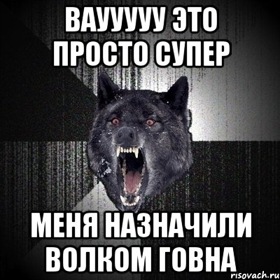 ваууууу это просто супер меня назначили волком говна, Мем Сумасшедший волк