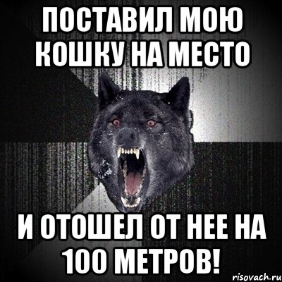 поставил мою кошку на место и отошел от нее на 100 метров!, Мем Сумасшедший волк