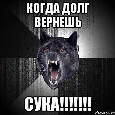 когда долг вернешь сука!!!, Мем Сумасшедший волк