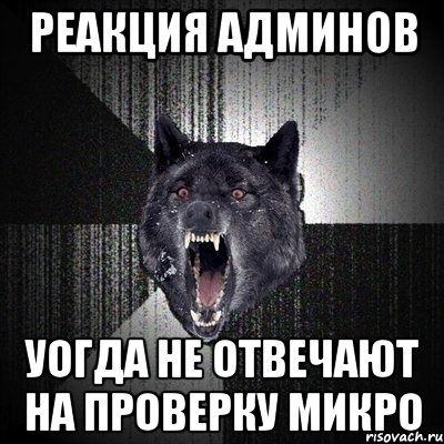 реакция админов уогда не отвечают на проверку микро, Мем Сумасшедший волк