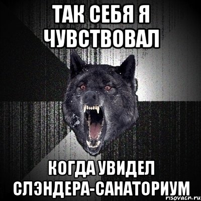 так себя я чувствовал когда увидел слэндера-санаториум, Мем Сумасшедший волк