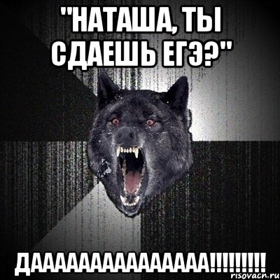 "наташа, ты сдаешь егэ?" дааааааааааааааа!!!, Мем Сумасшедший волк