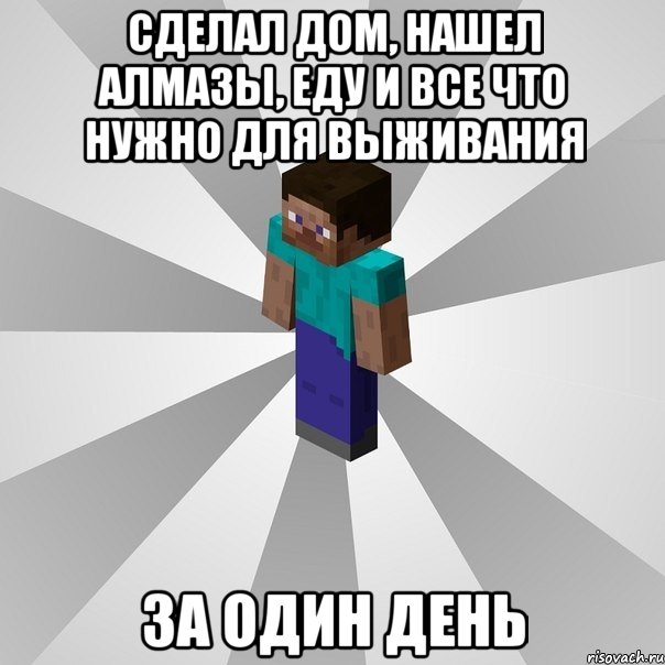 сделал дом, нашел алмазы, еду и все что нужно для выживания за один день, Мем Типичный игрок Minecraft