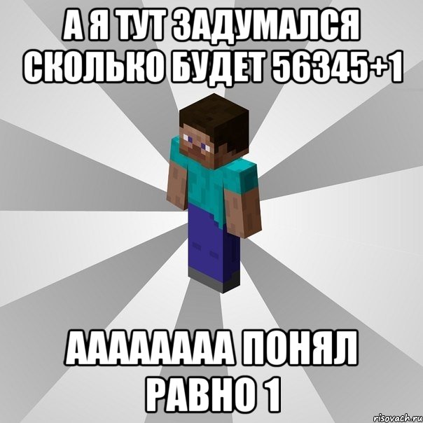 а я тут задумался сколько будет 56345+1 аааааааа понял равно 1, Мем Типичный игрок Minecraft