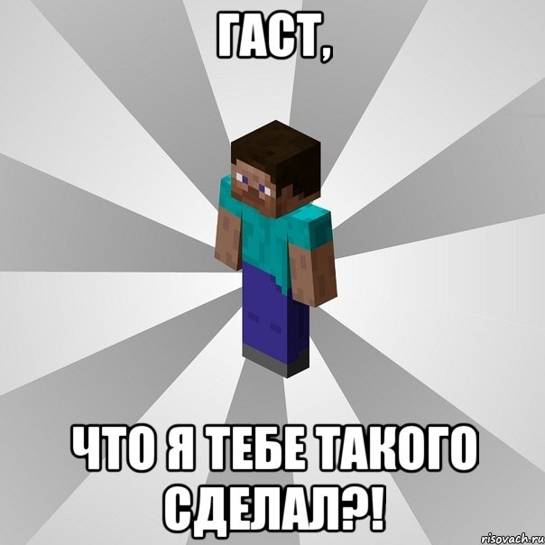 гаст, что я тебе такого сделал?!, Мем Типичный игрок Minecraft