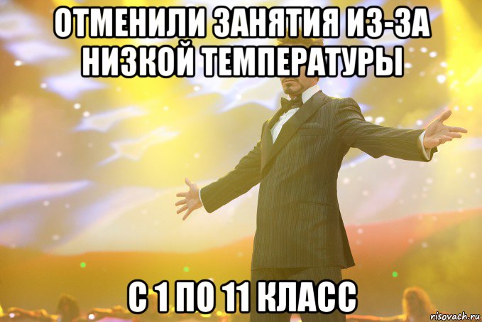 отменили занятия из-за низкой температуры с 1 по 11 класс, Мем Тони Старк (Роберт Дауни младший)