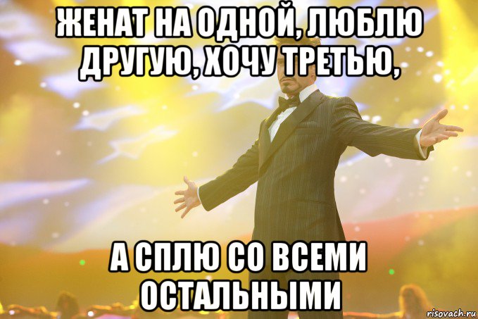 женат на одной, люблю другую, хочу третью, а сплю со всеми остальными, Мем Тони Старк (Роберт Дауни младший)