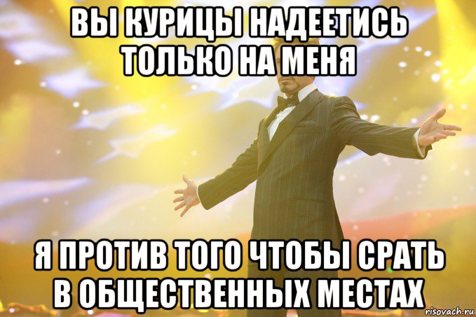 вы курицы надеетись только на меня я против того чтобы срать в общественных местах, Мем Тони Старк (Роберт Дауни младший)