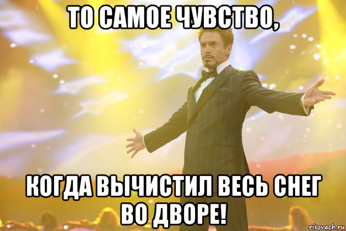 то самое чувство, когда вычистил весь снег во дворе!, Мем Тони Старк (Роберт Дауни младший)