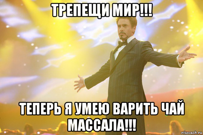 трепещи мир!!! теперь я умею варить чай массала!!!, Мем Тони Старк (Роберт Дауни младший)