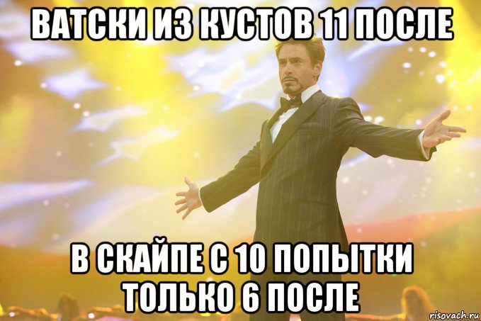 ватски из кустов 11 после в скайпе с 10 попытки только 6 после, Мем Тони Старк (Роберт Дауни младший)