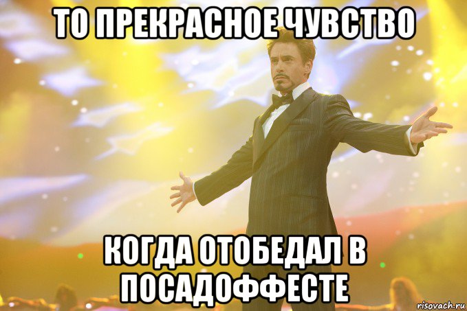 то прекрасное чувство когда отобедал в посадоффесте, Мем Тони Старк (Роберт Дауни младший)