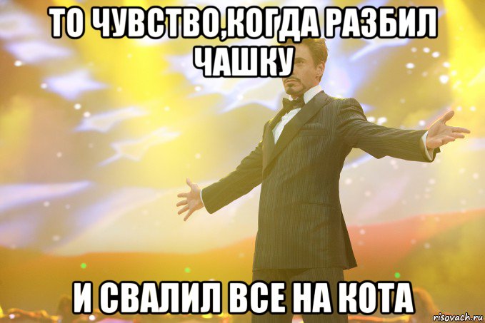 то чувство,когда разбил чашку и свалил все на кота, Мем Тони Старк (Роберт Дауни младший)