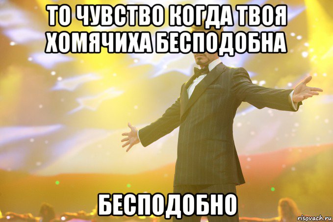 то чувство когда твоя хомячиха бесподобна бесподобно, Мем Тони Старк (Роберт Дауни младший)