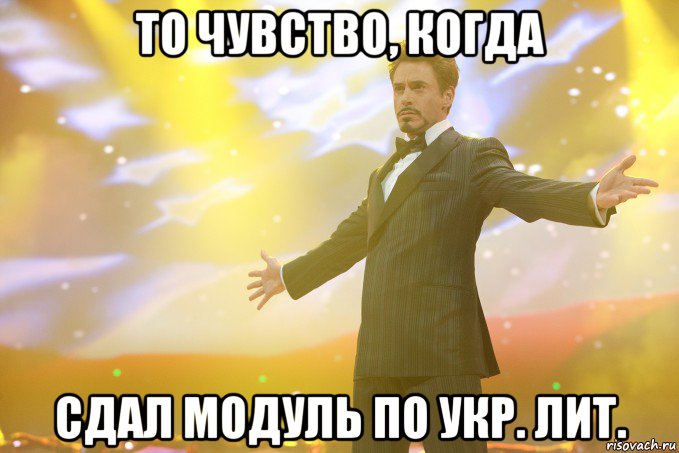 то чувство, когда сдал модуль по укр. лит., Мем Тони Старк (Роберт Дауни младший)