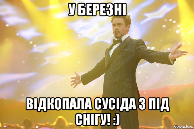 у березні відкопала сусіда з під снігу! :), Мем Тони Старк (Роберт Дауни младший)