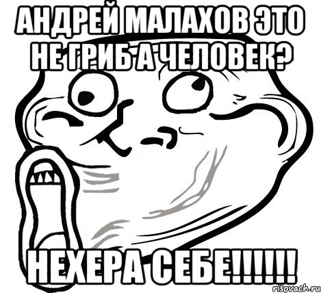 андрей малахов это не гриб а человек? нехера себе!!!, Мем  Trollface LOL