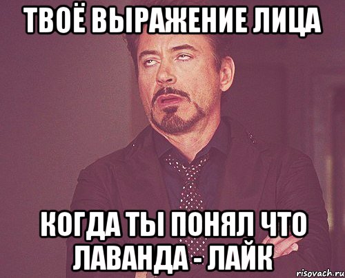 твоё выражение лица когда ты понял что лаванда - лайк, Мем твое выражение лица